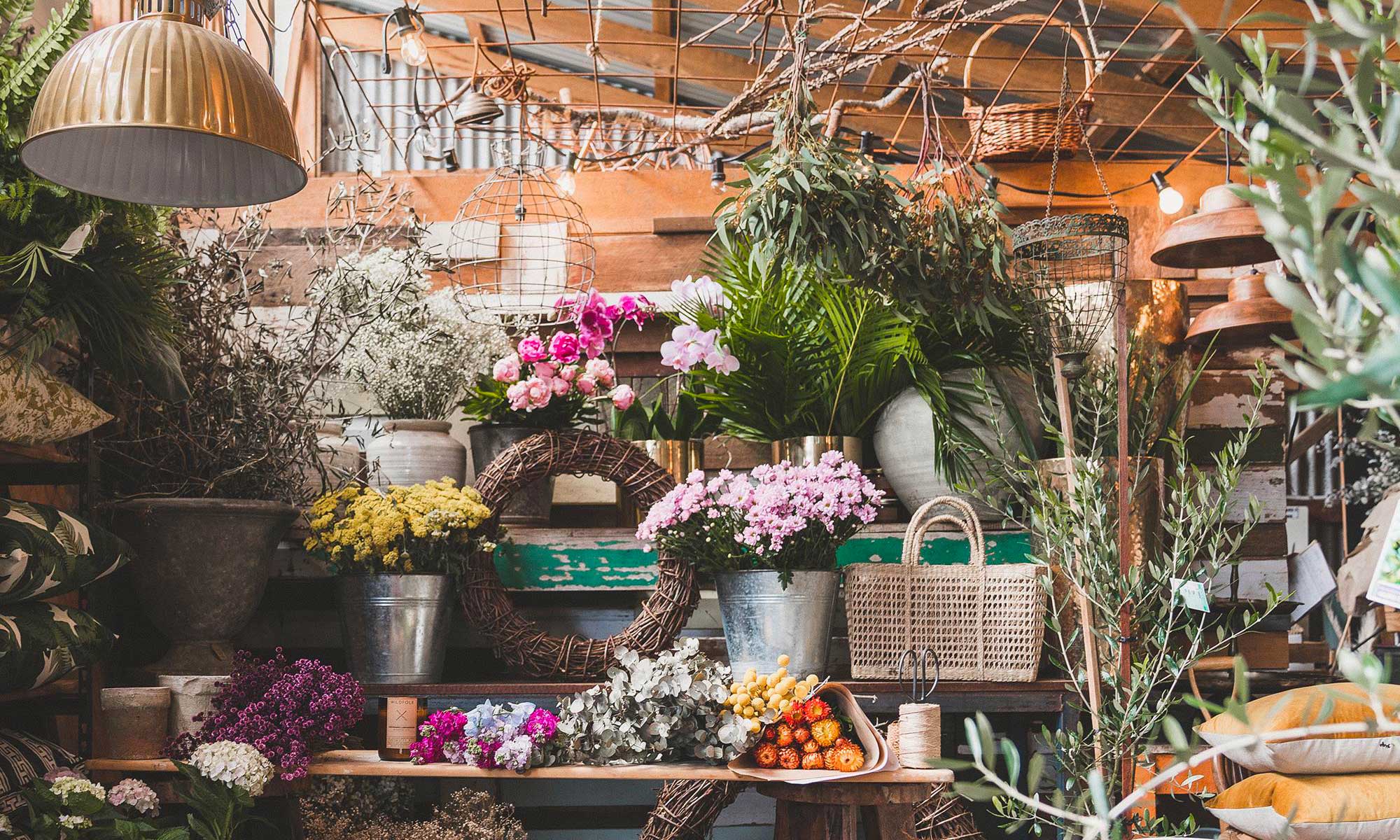 Bloomy Days With Flowers at the Farm